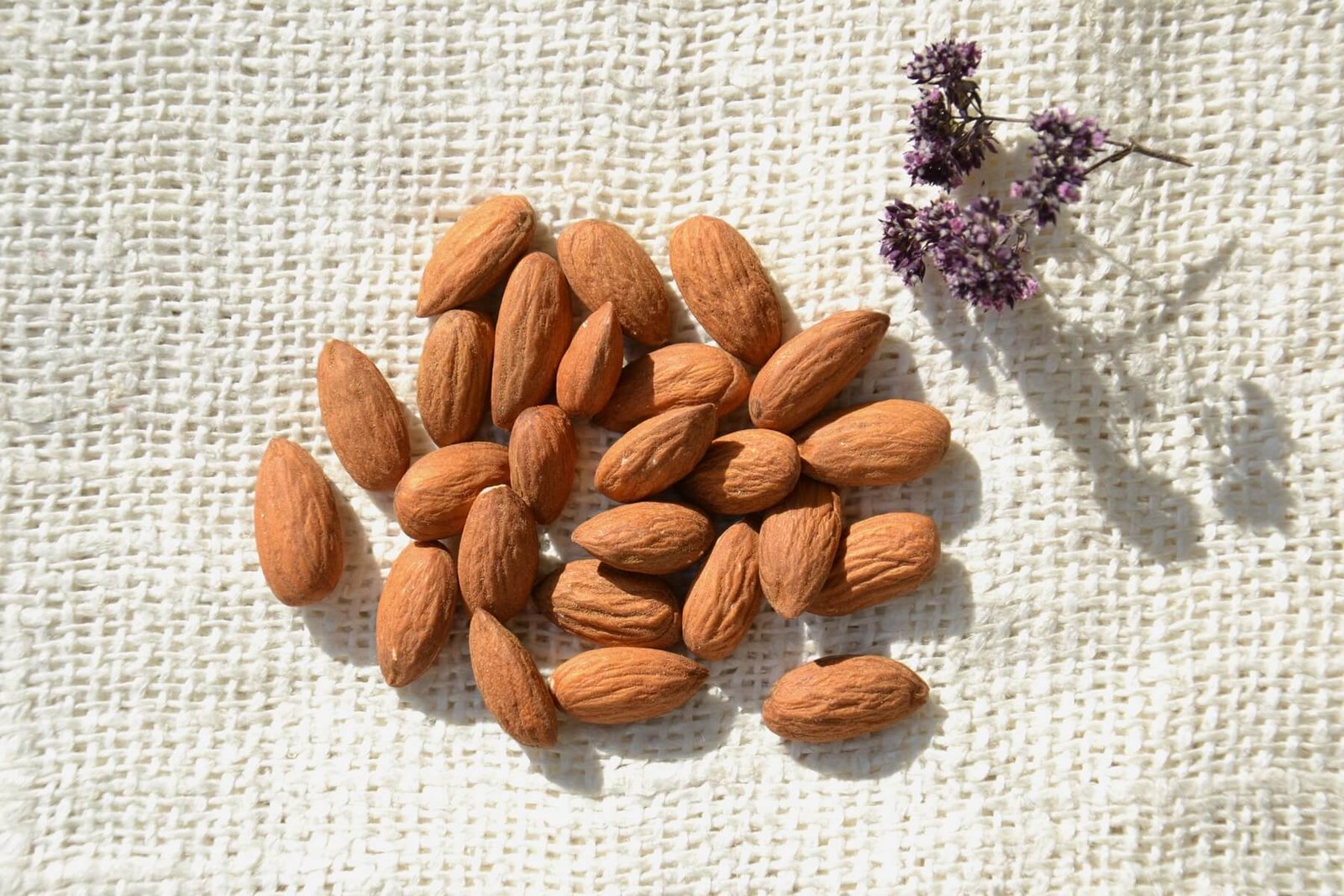 Peanut is Good For Health